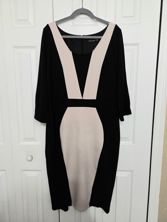 VfEmage Dresses & Skirts - Vfemage Black and Beige Colorblock  Dress